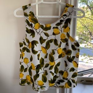 🟥SOLD 🟥 Zara - Lemon Pattern Crop Top